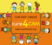 Flogas donates £500 to the Cure4Cam Fund this Christmas