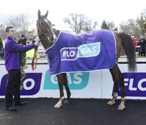 Monalee thrills the crowds in Flogas Novice Chase
