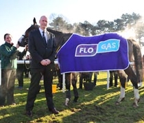 Flogas Novice Chase at Leopardstown