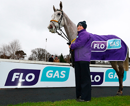 ‘Disko’, owned by Gigginstown Stud, trained by Noel Meade and ridden by Sean Flanagan, was the winner of the 2017 Flogas Novice Chase. 