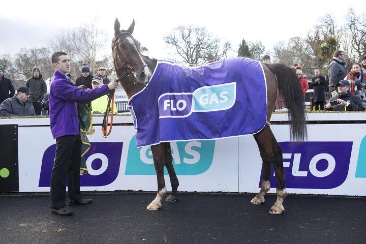 The victorious Monalee, winner of the 2018 Flogas Novice Chase